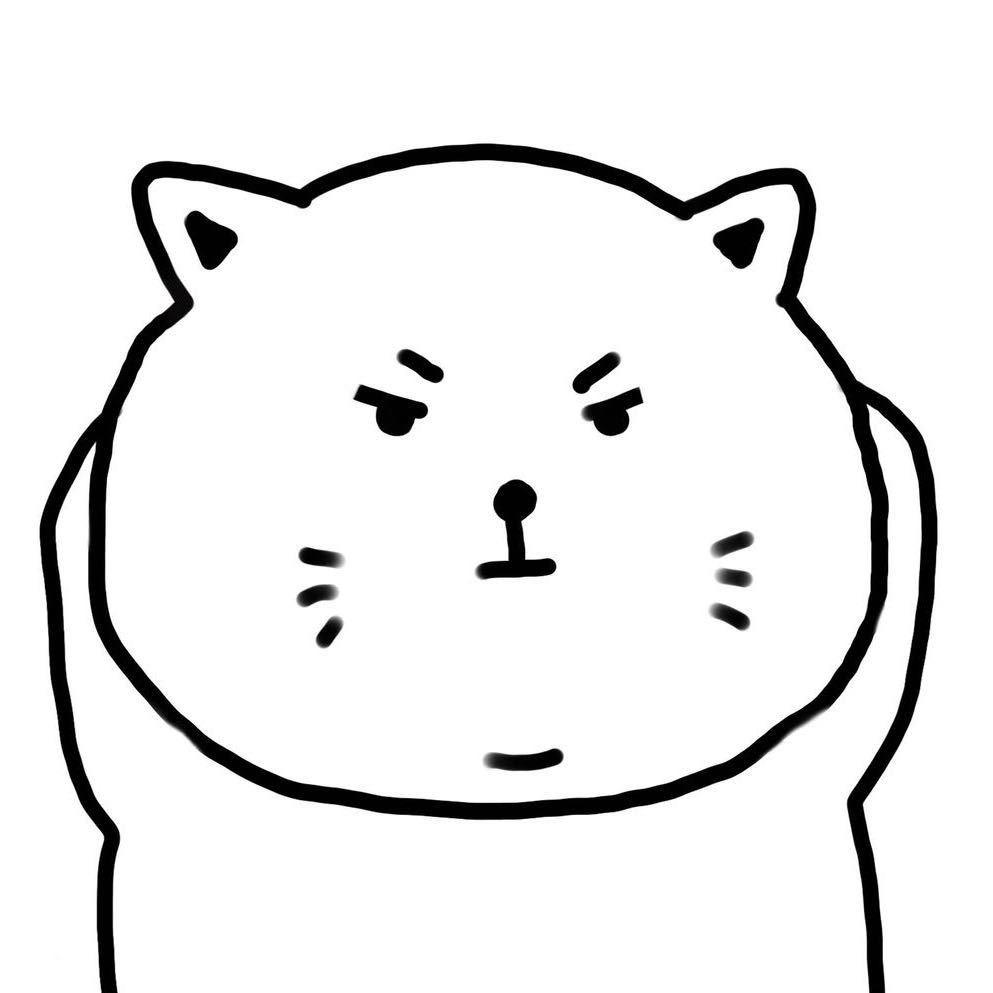 空了陪猫