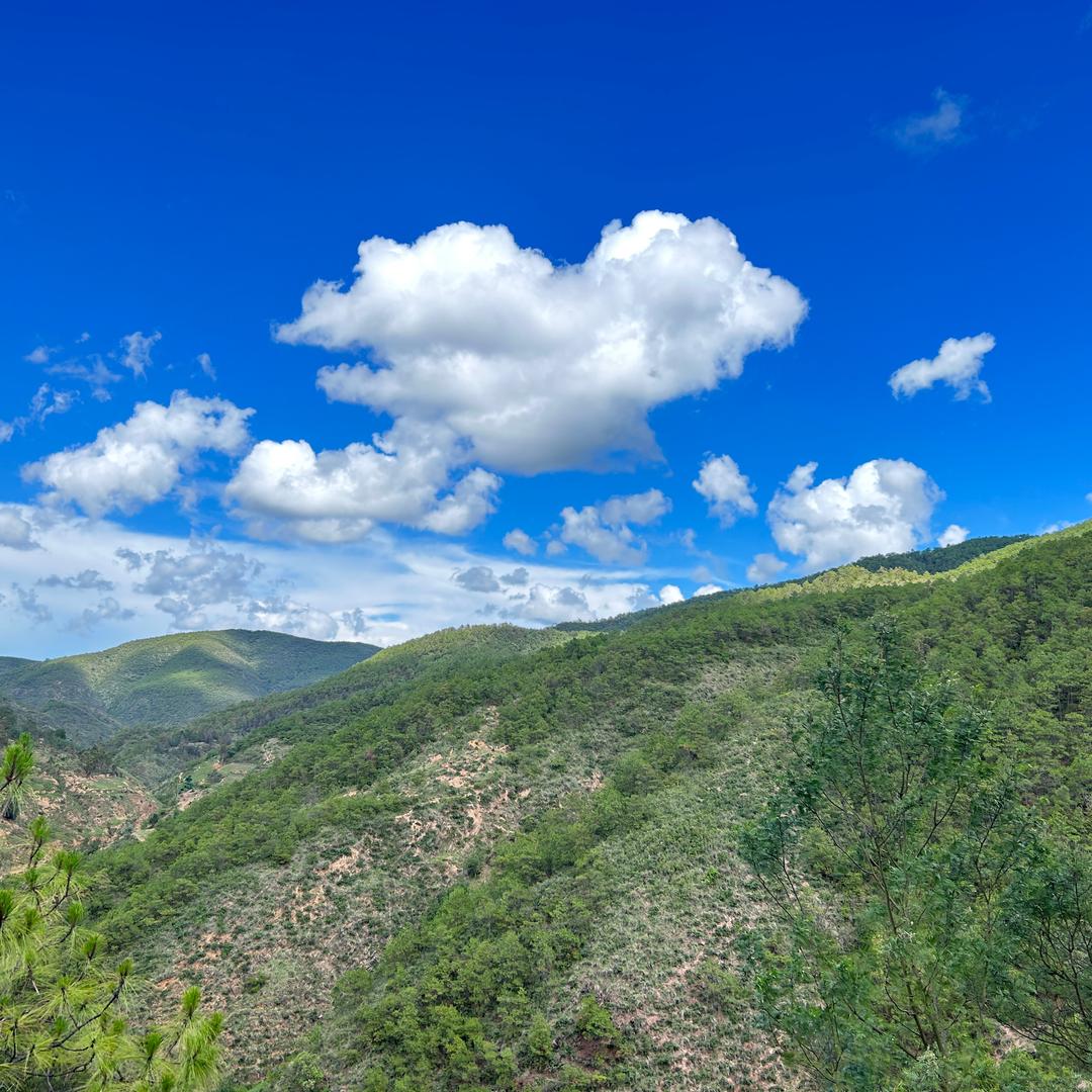 云机  •金生 •东莞办事处