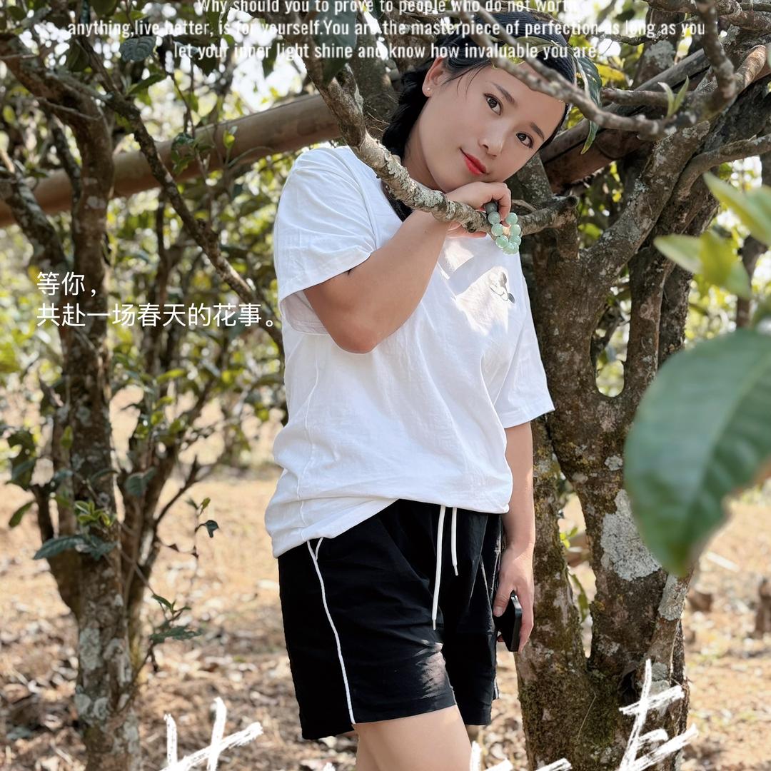 艳子普洱茶，坝糯村55号