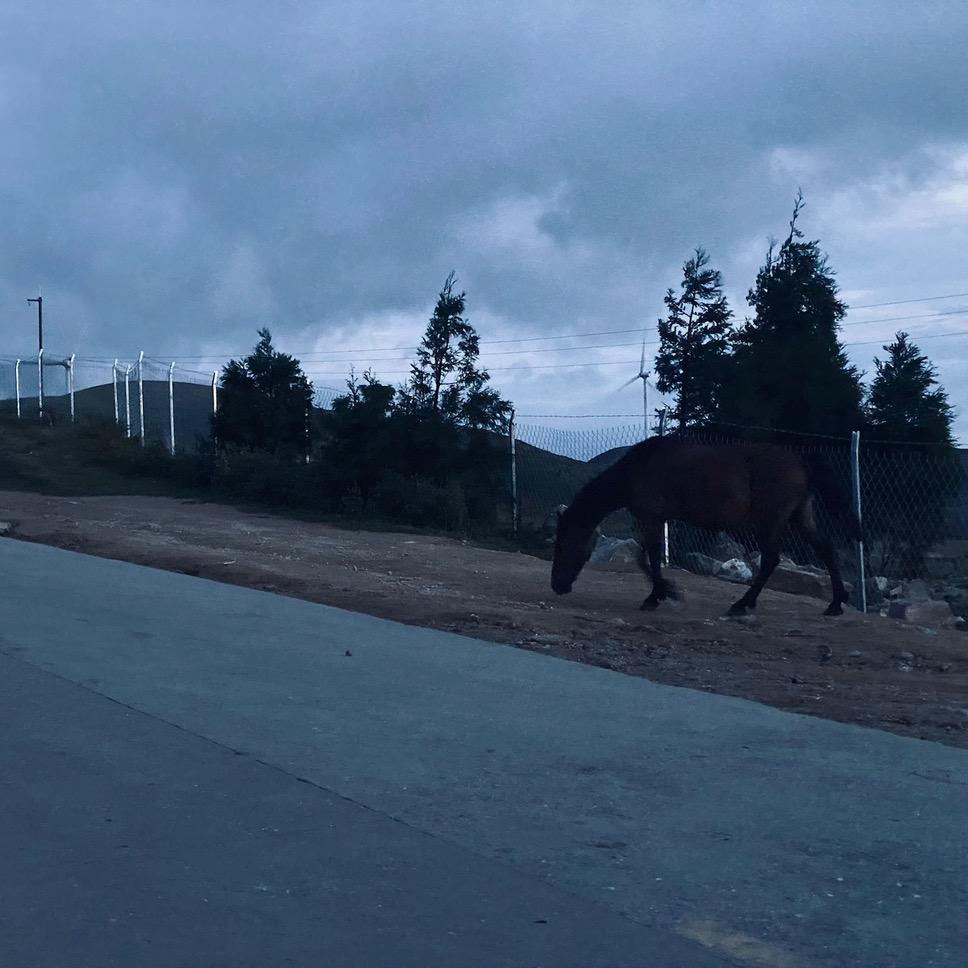 兴华添名车 谷裕（天价收车）