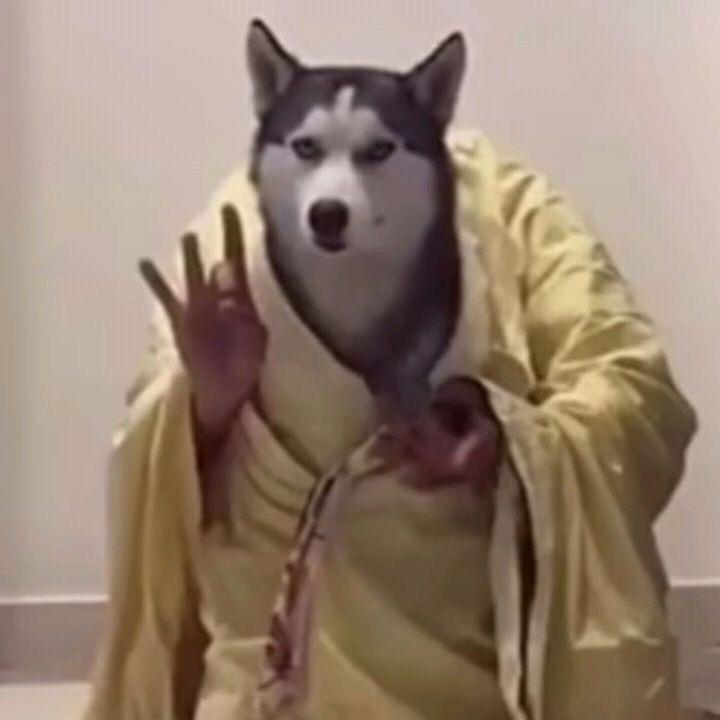 大大怪