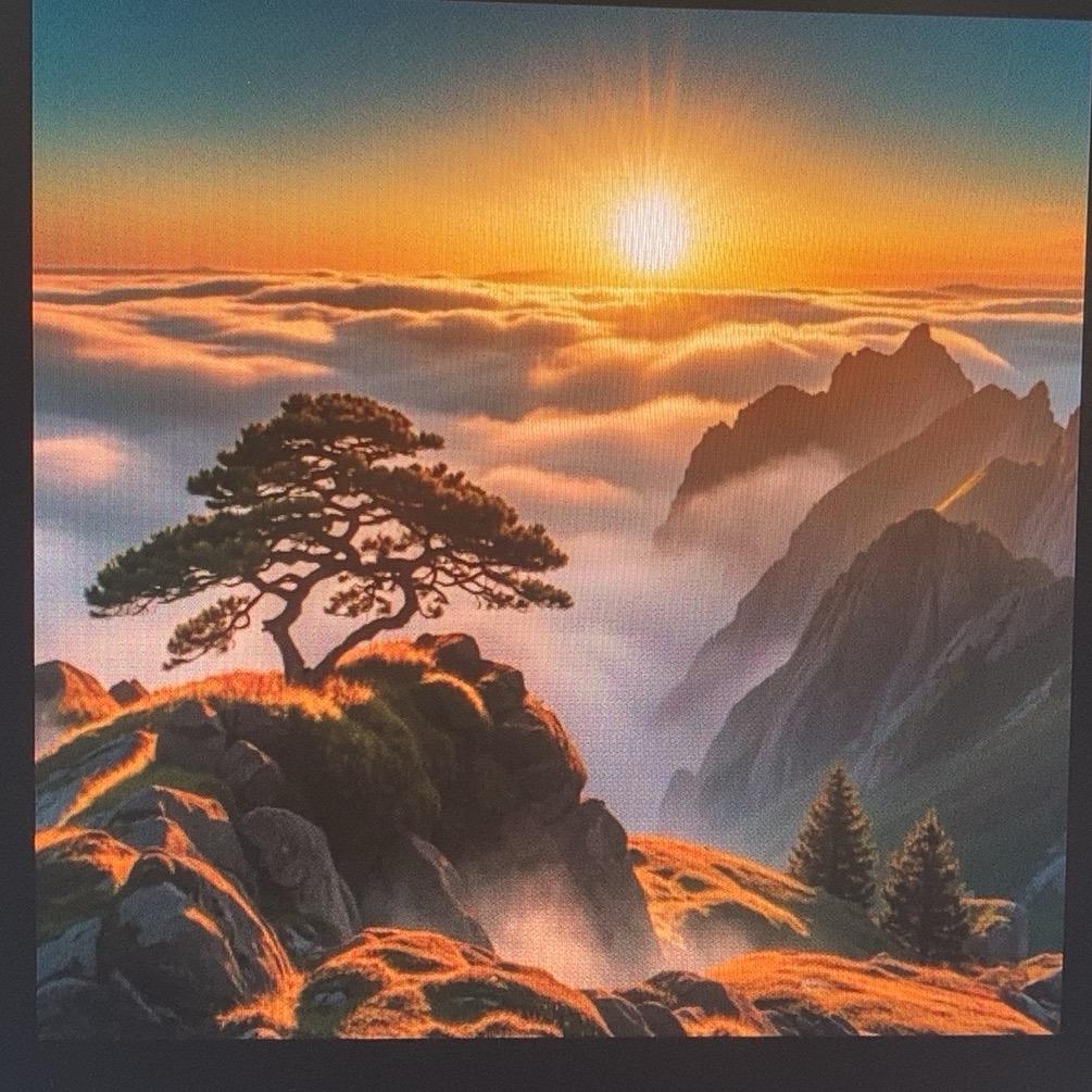 夏姆