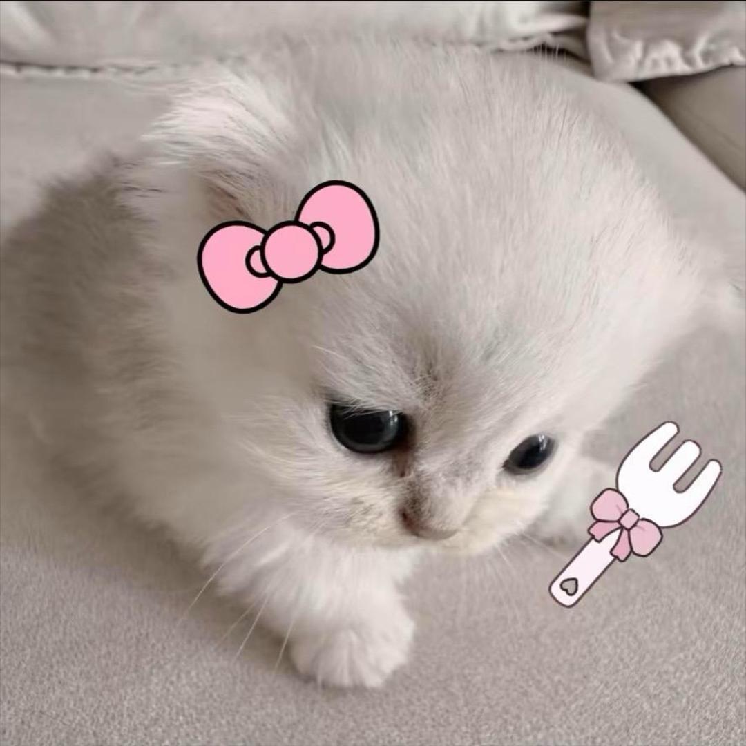 滚