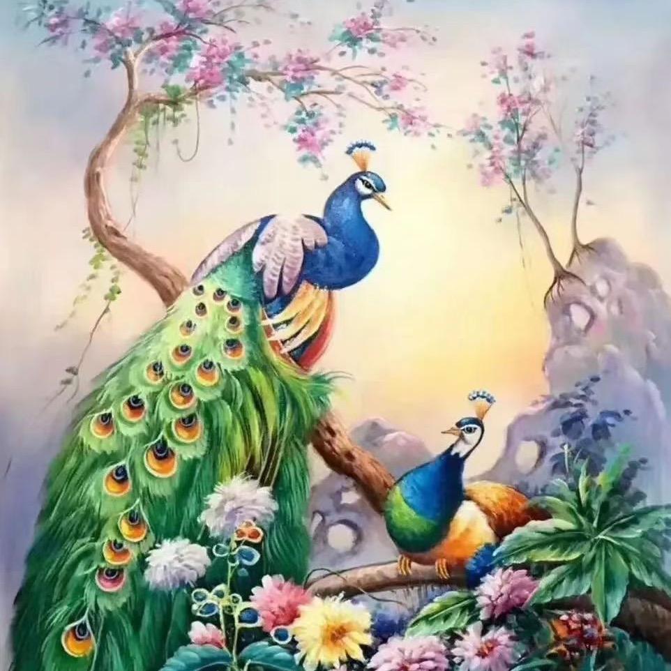 金怡