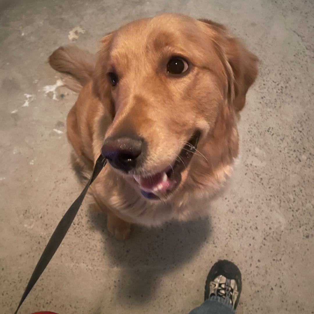 米奇（三角洲行动）