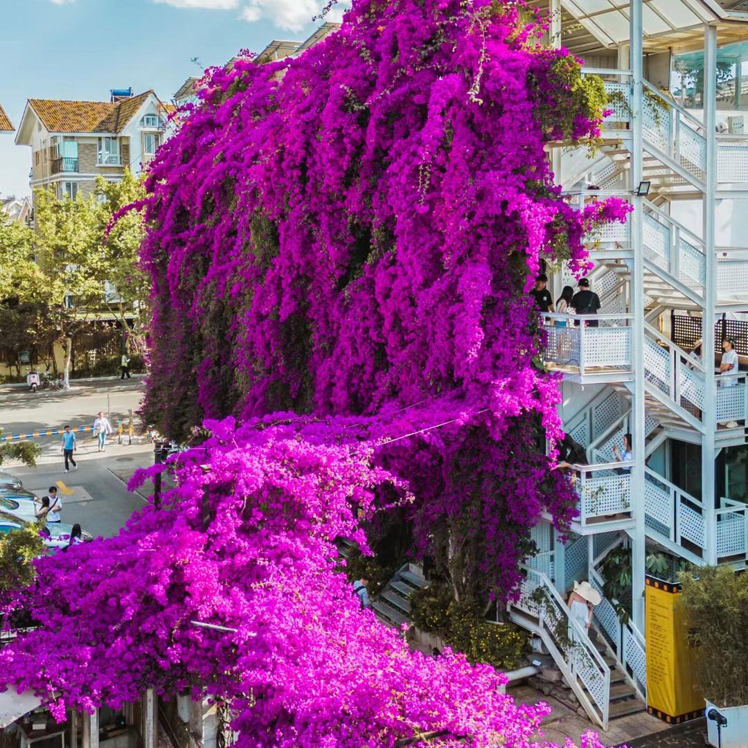 三角成花