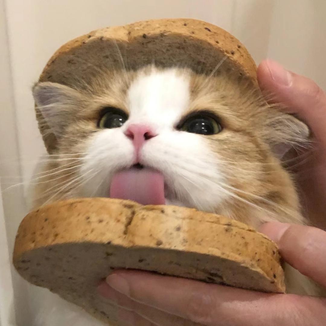 想静静-