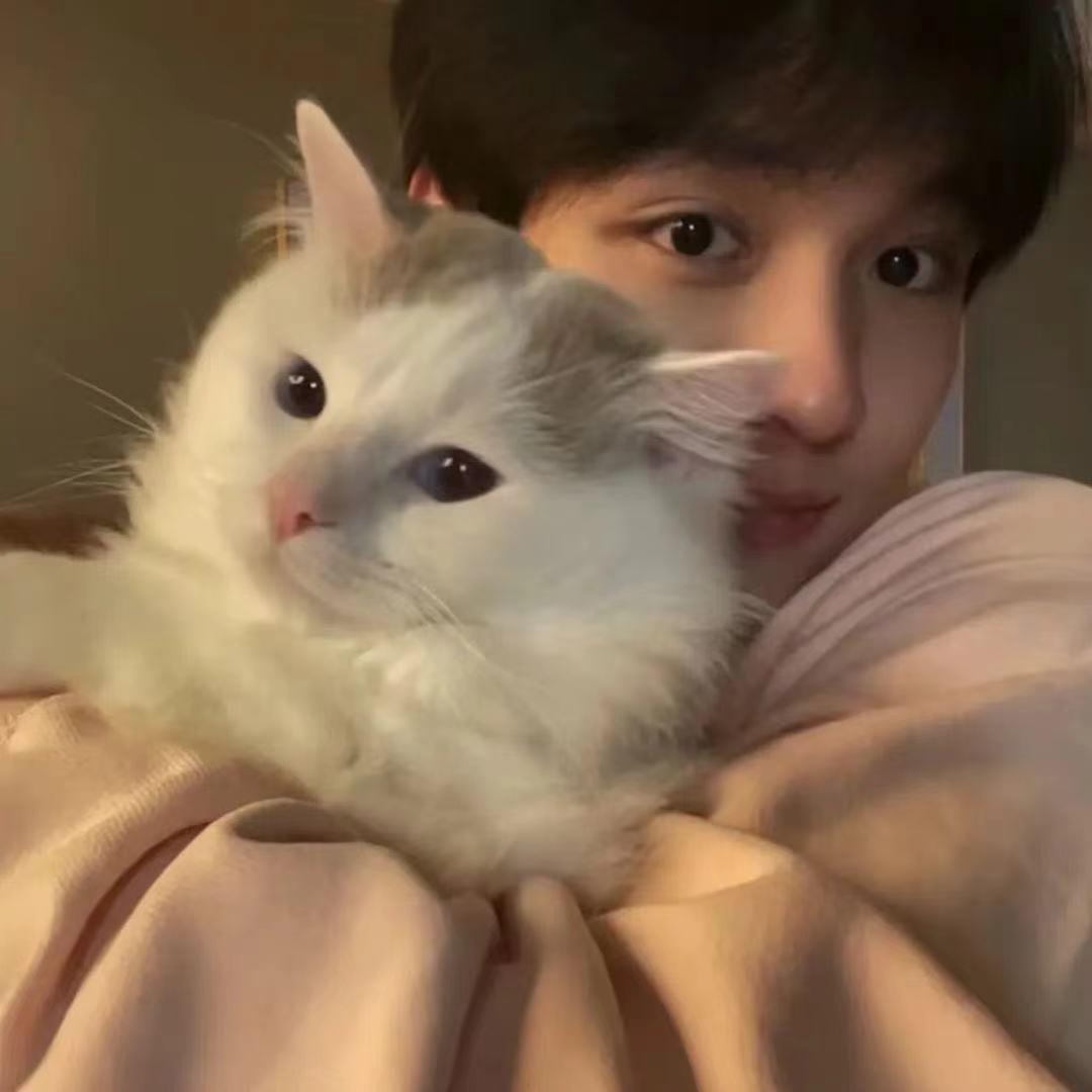 悲伤的娃娃鱼🐠