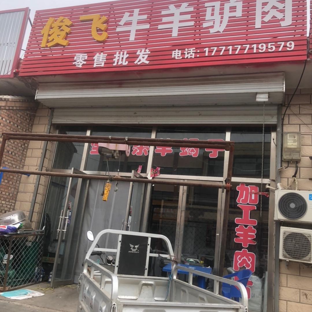 俊飞