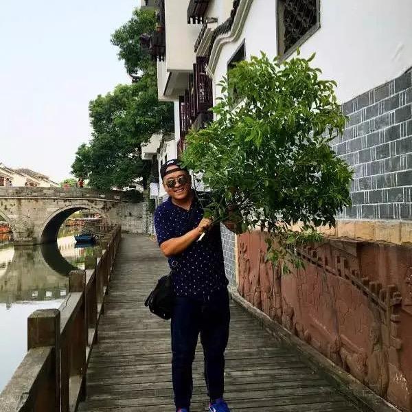 甄选林下参大伟