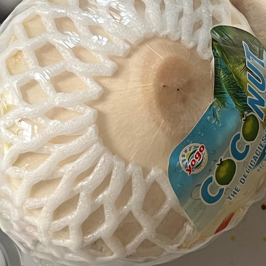椰汁🥥