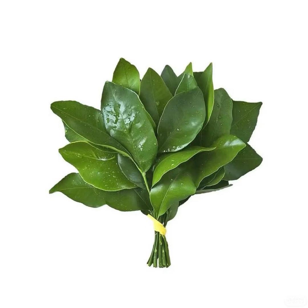 思思很爱吃🍰