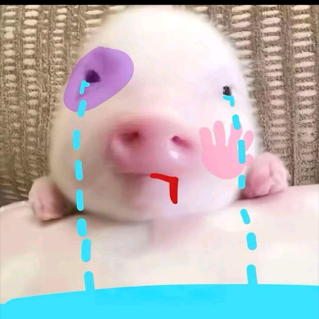 没动资本蛋糕