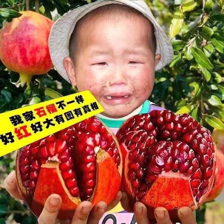 大头家