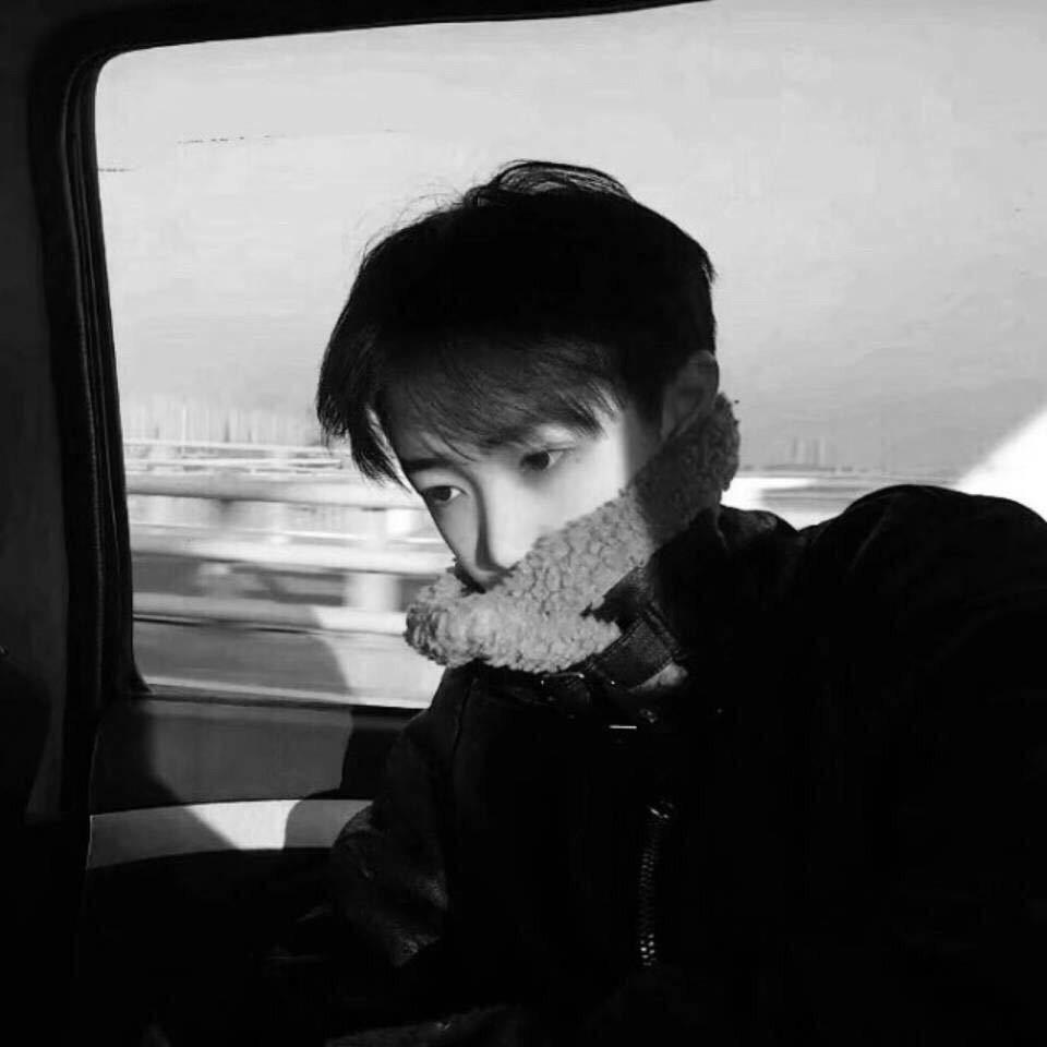 苏昊Ge（羊毛日记）