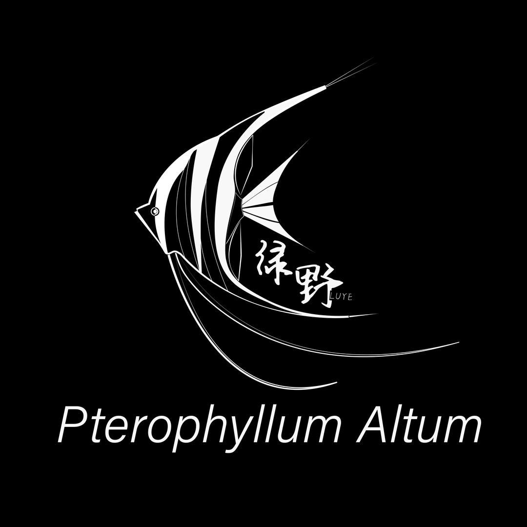 绿野Ly
