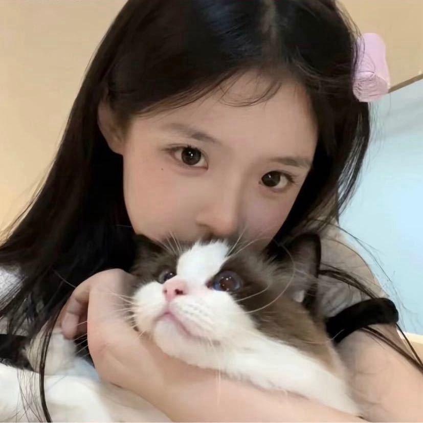 懒猫.⁎͜:⁛