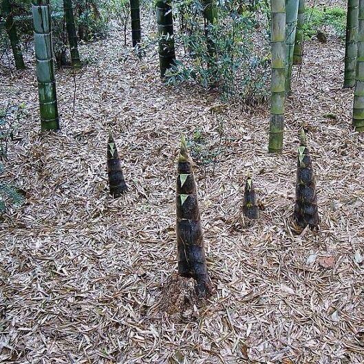 优优生活好物