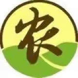 新型机械