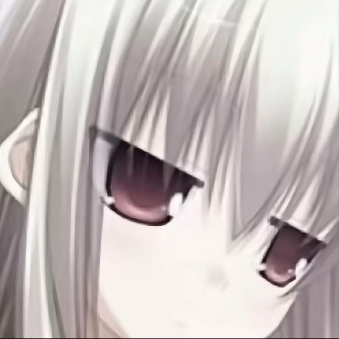 小Y