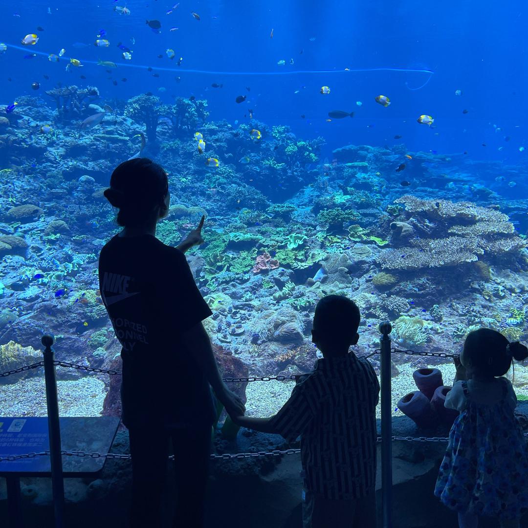雨果雨滴·日常