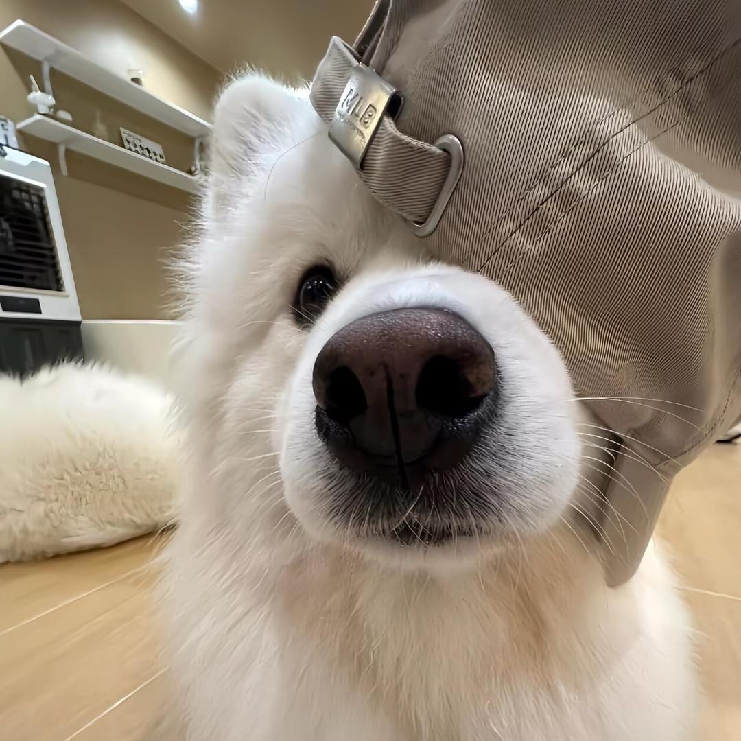 墨西哥.