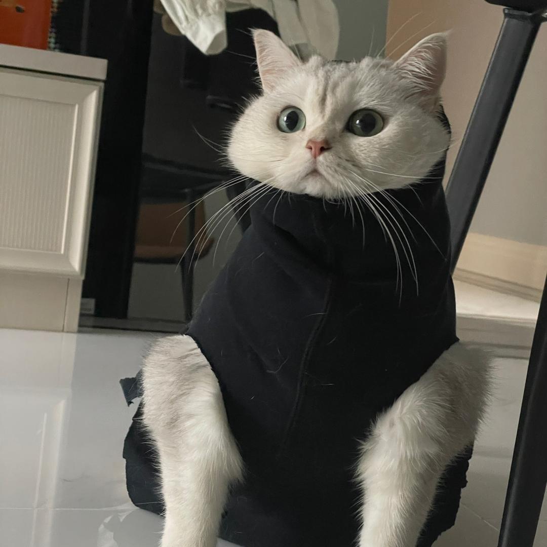 小宇姐姐
