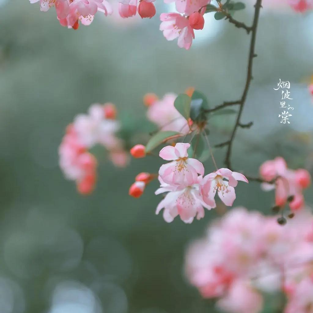 🎀可可好温柔