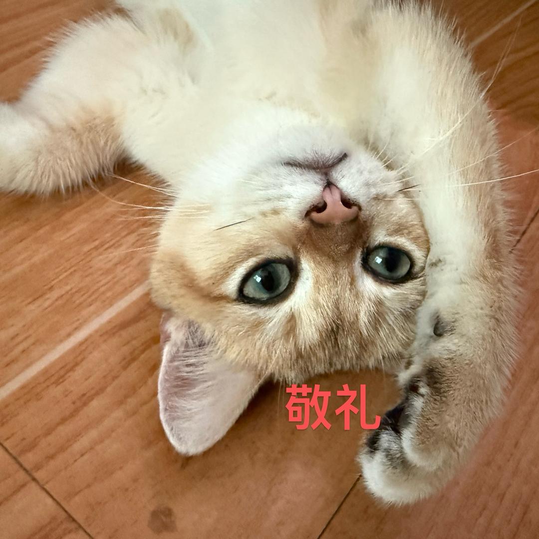 万我