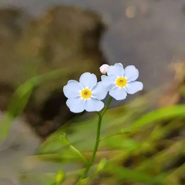 小太阳☀️