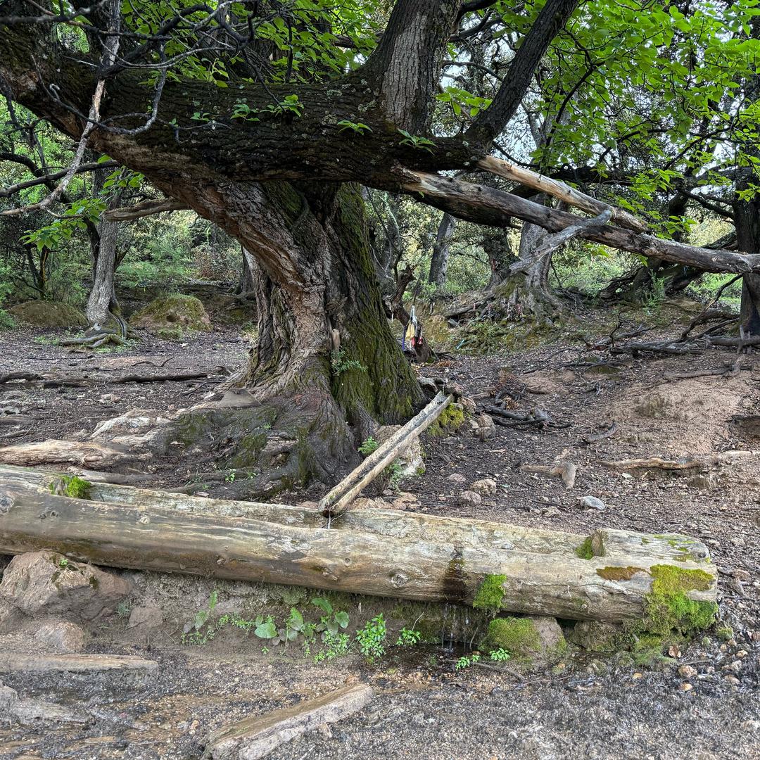 得之坦然，失之淡然