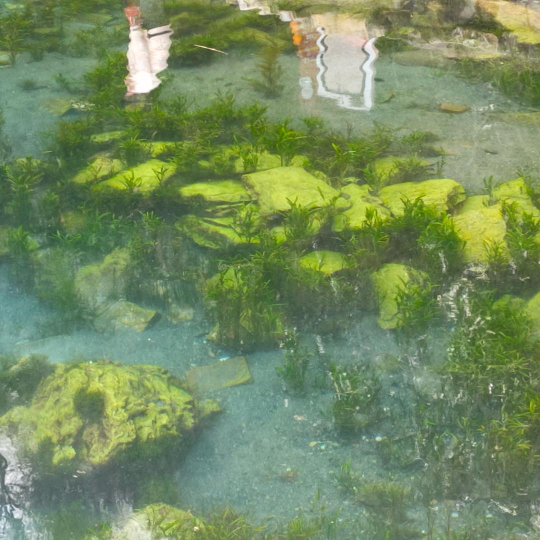 努力成为人机-/