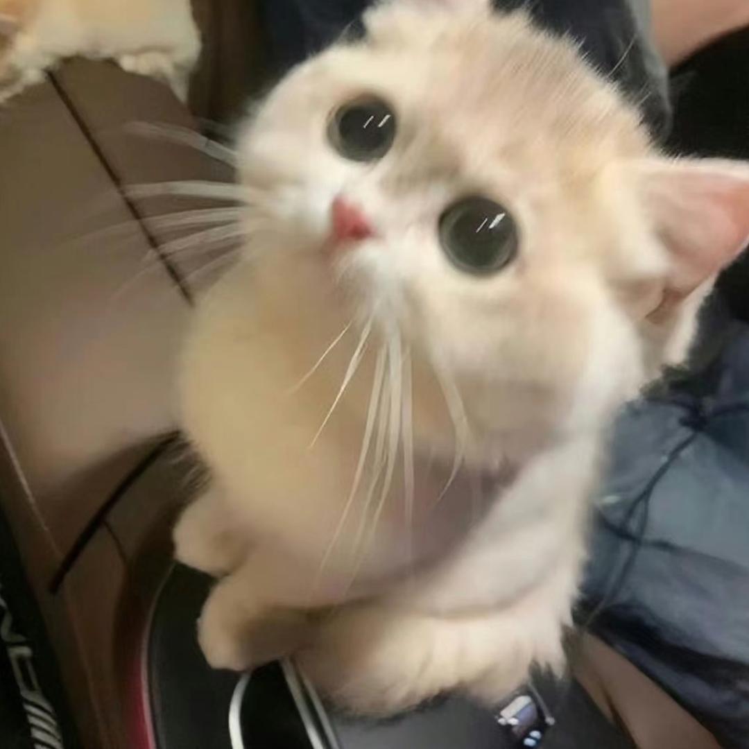 路雅童