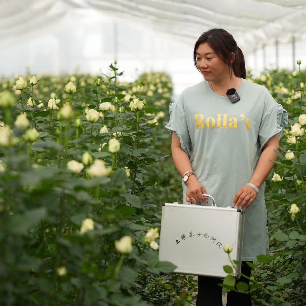 丽君（峨山金丰农资）