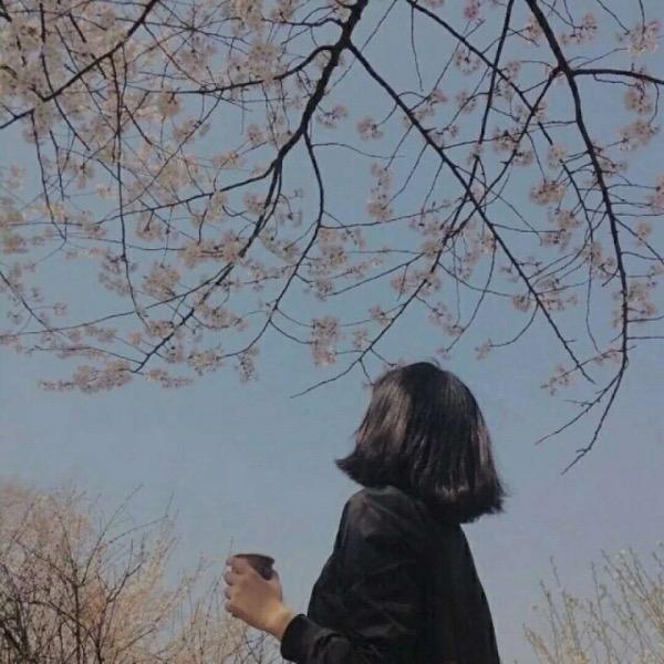 紫涵的美食屋