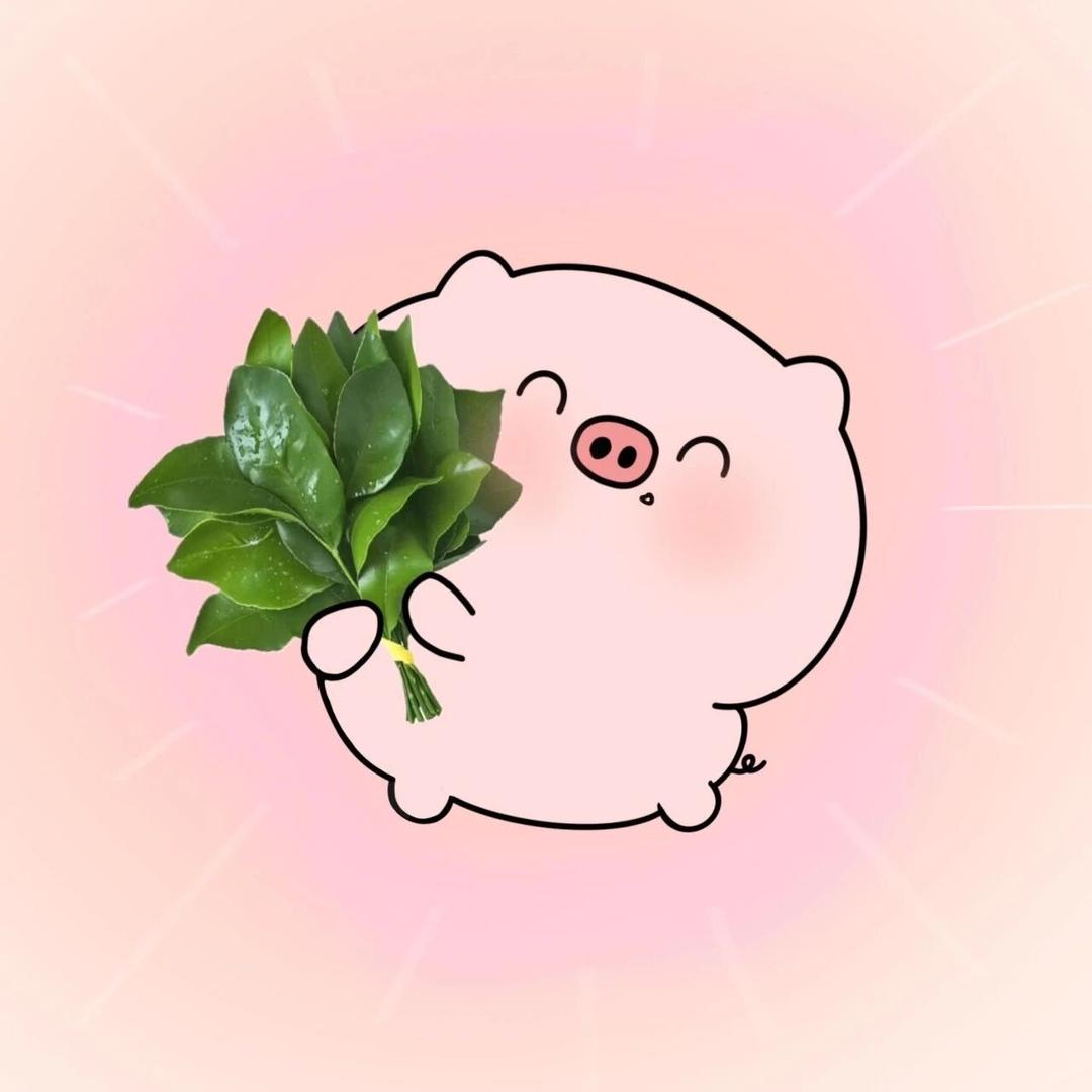 财神的宠儿🌿