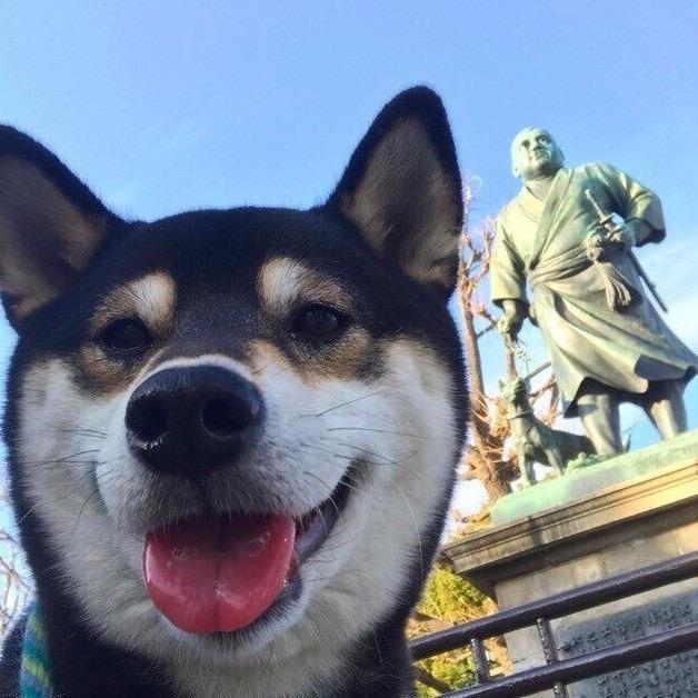 十二追梦