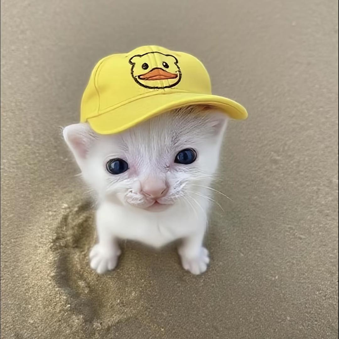 正常人