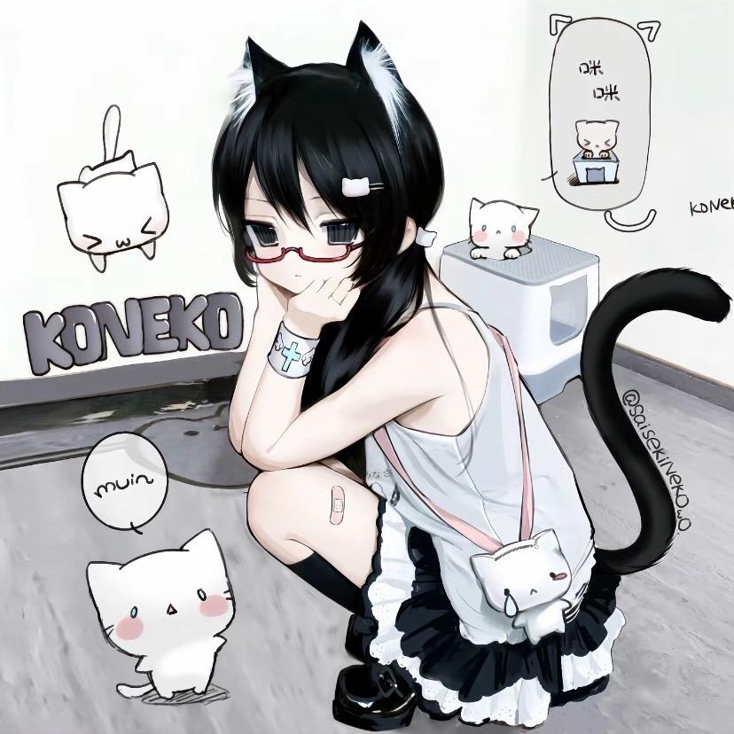 野猫不受训