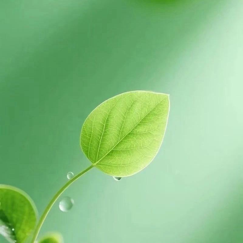 杜杜没烦恼