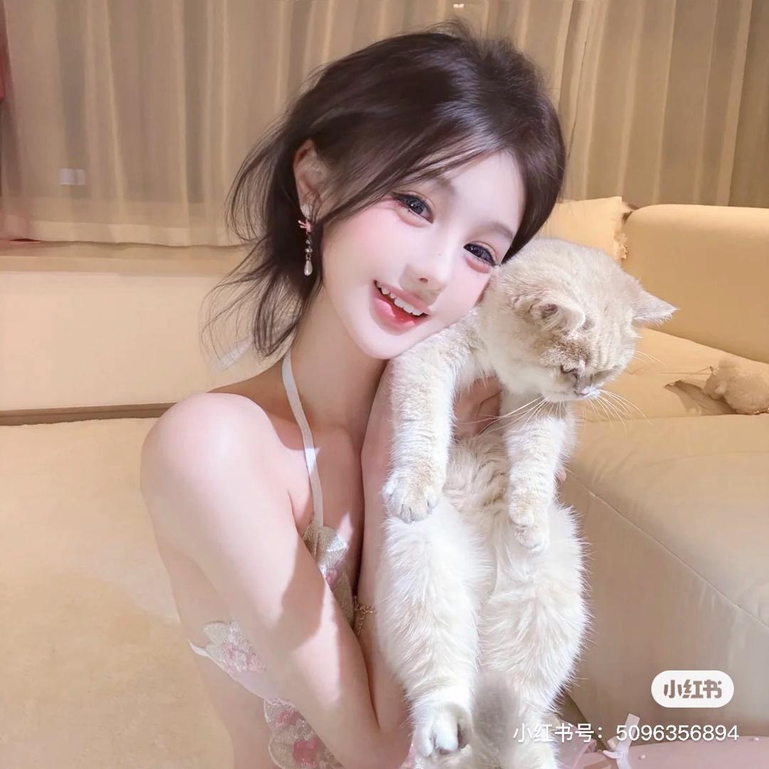 霸道y总轻点爱