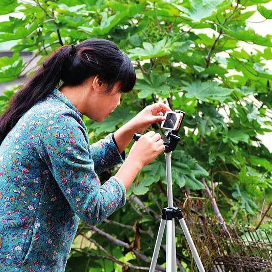 初溯网络营销号