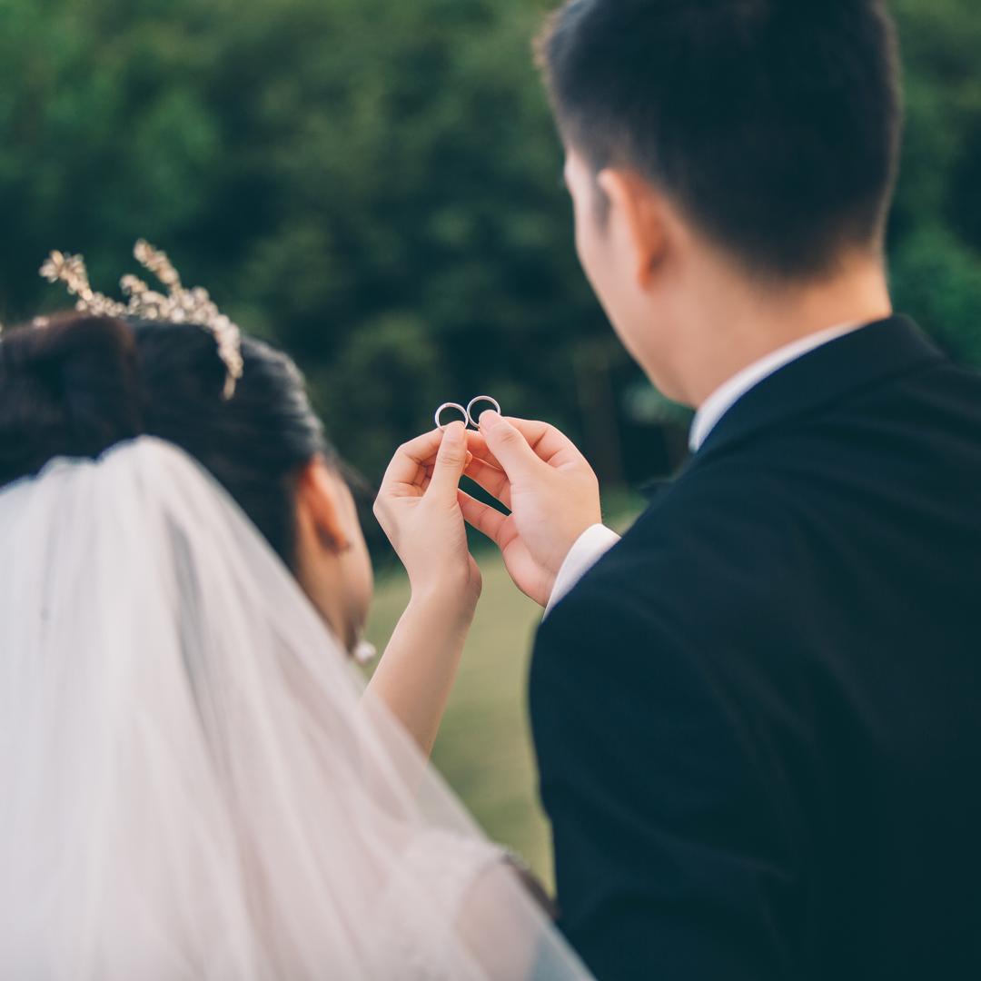 打老虎