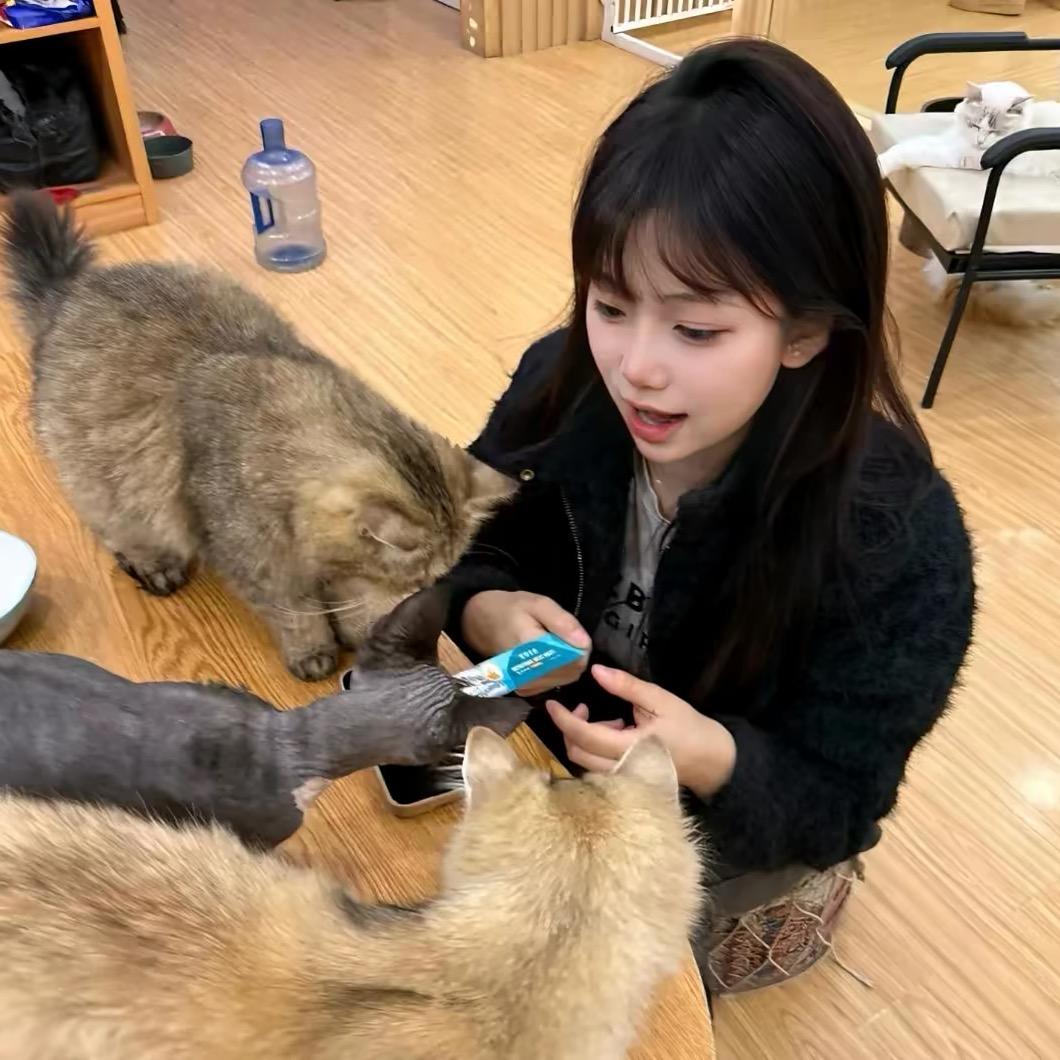 依