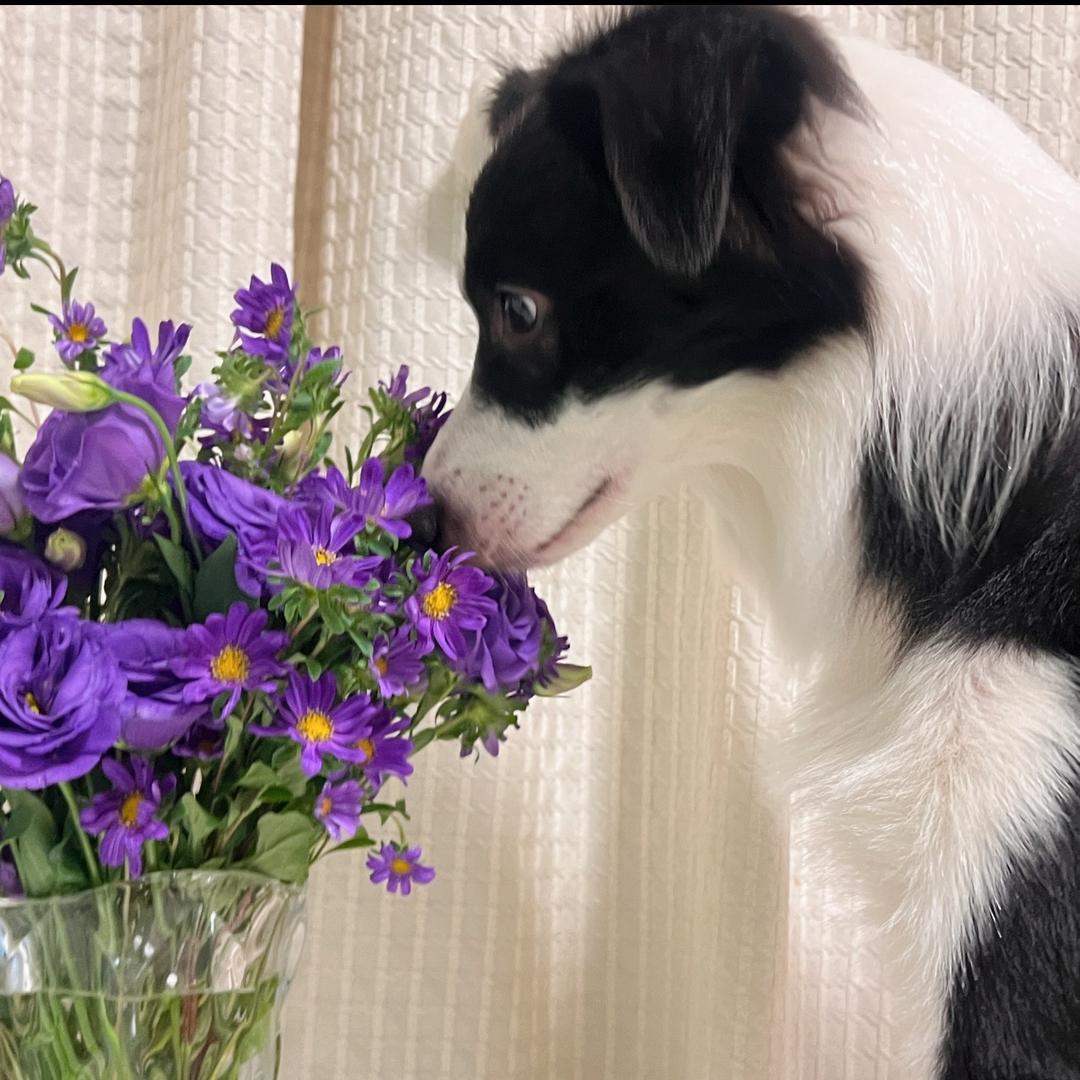 Word麻鸭🦆⁺⁶⁶⁶