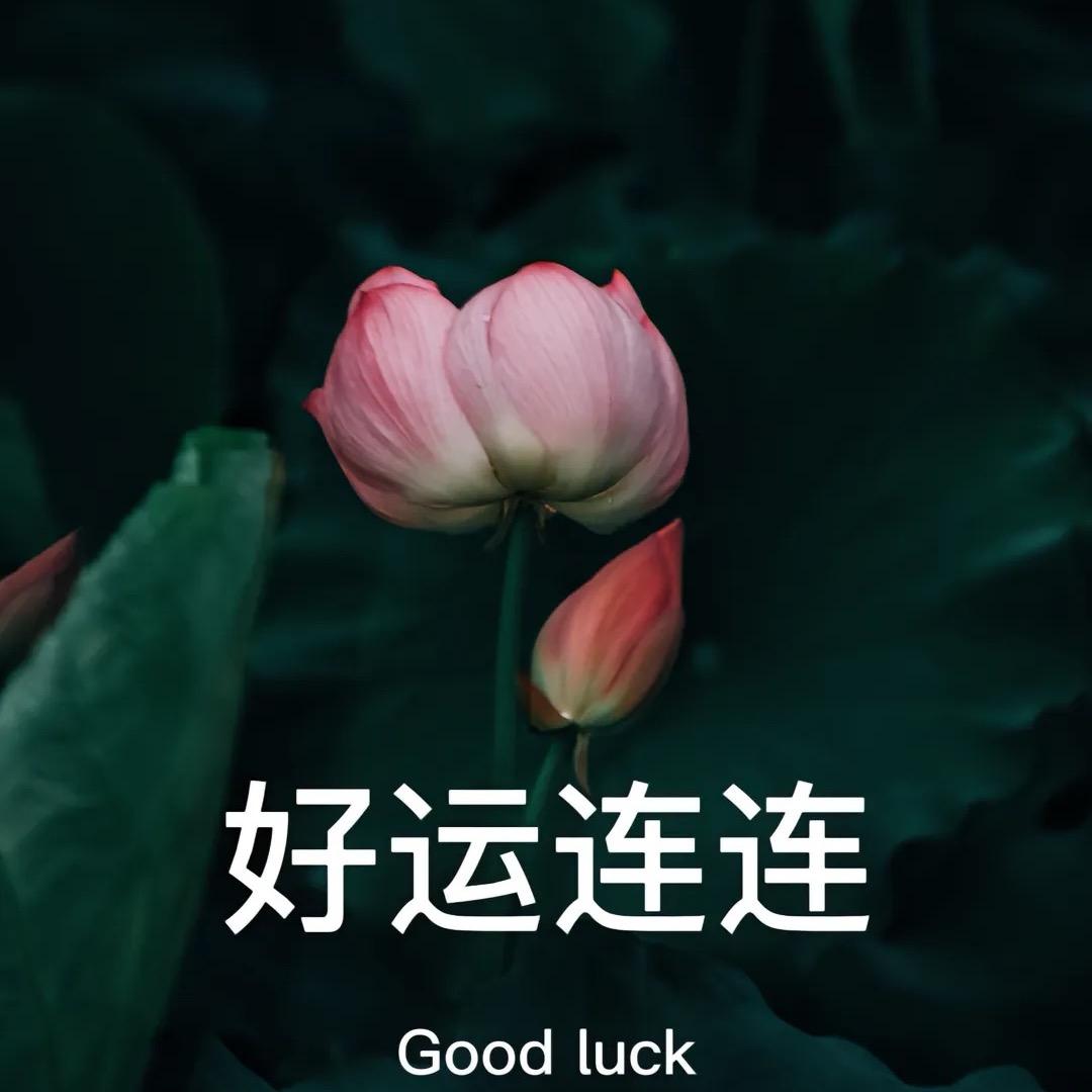 极地的影子没有肌肉