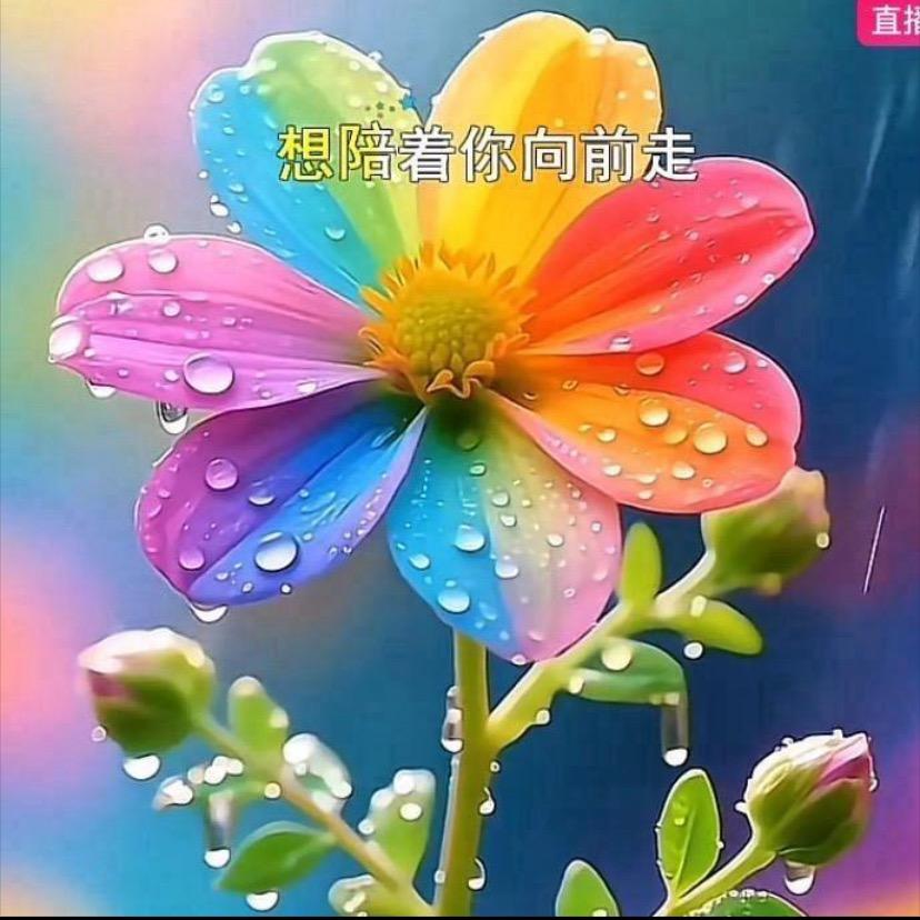💫☀️🌻☘️阳光不散☘️🌻🌈