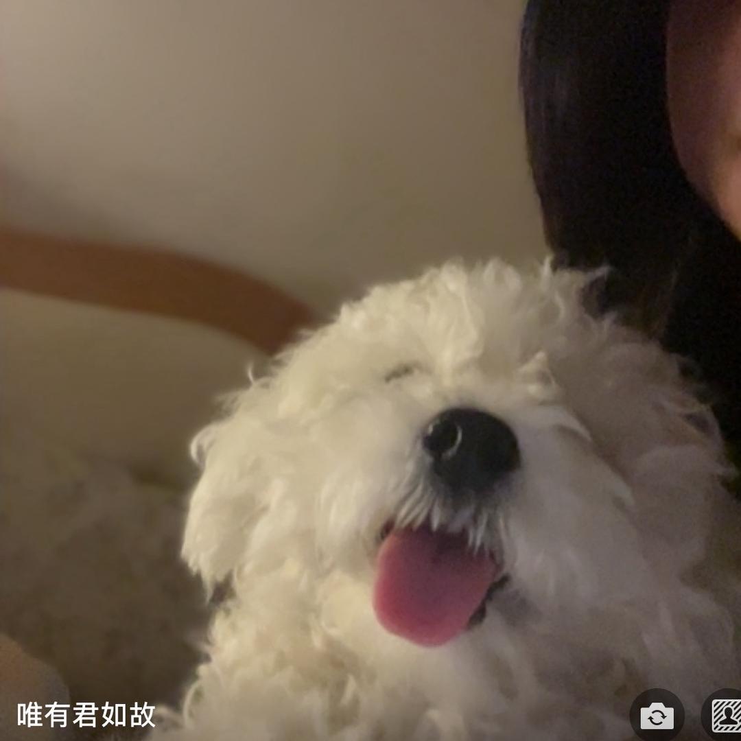 送你一枝勿忘我