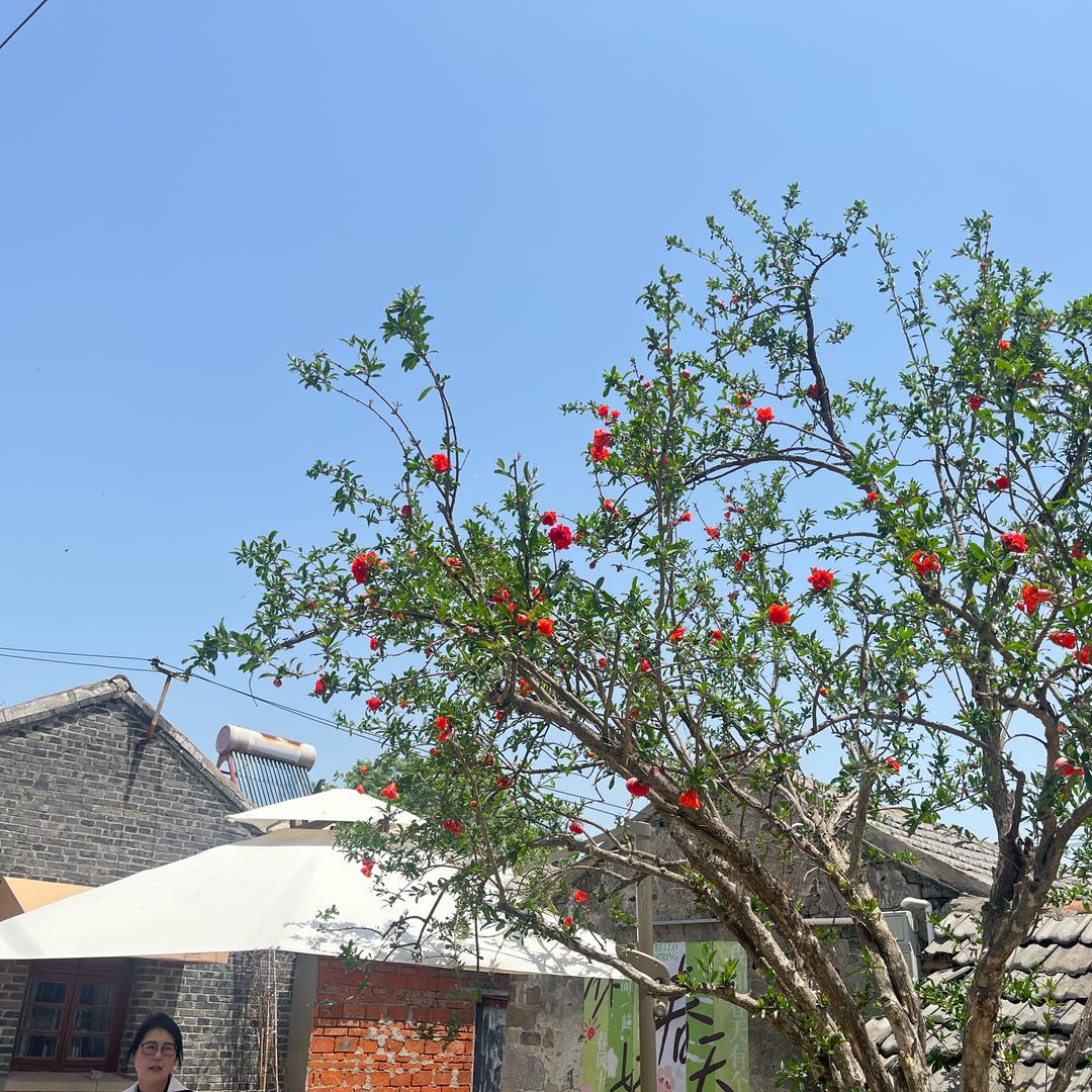 LEILEI