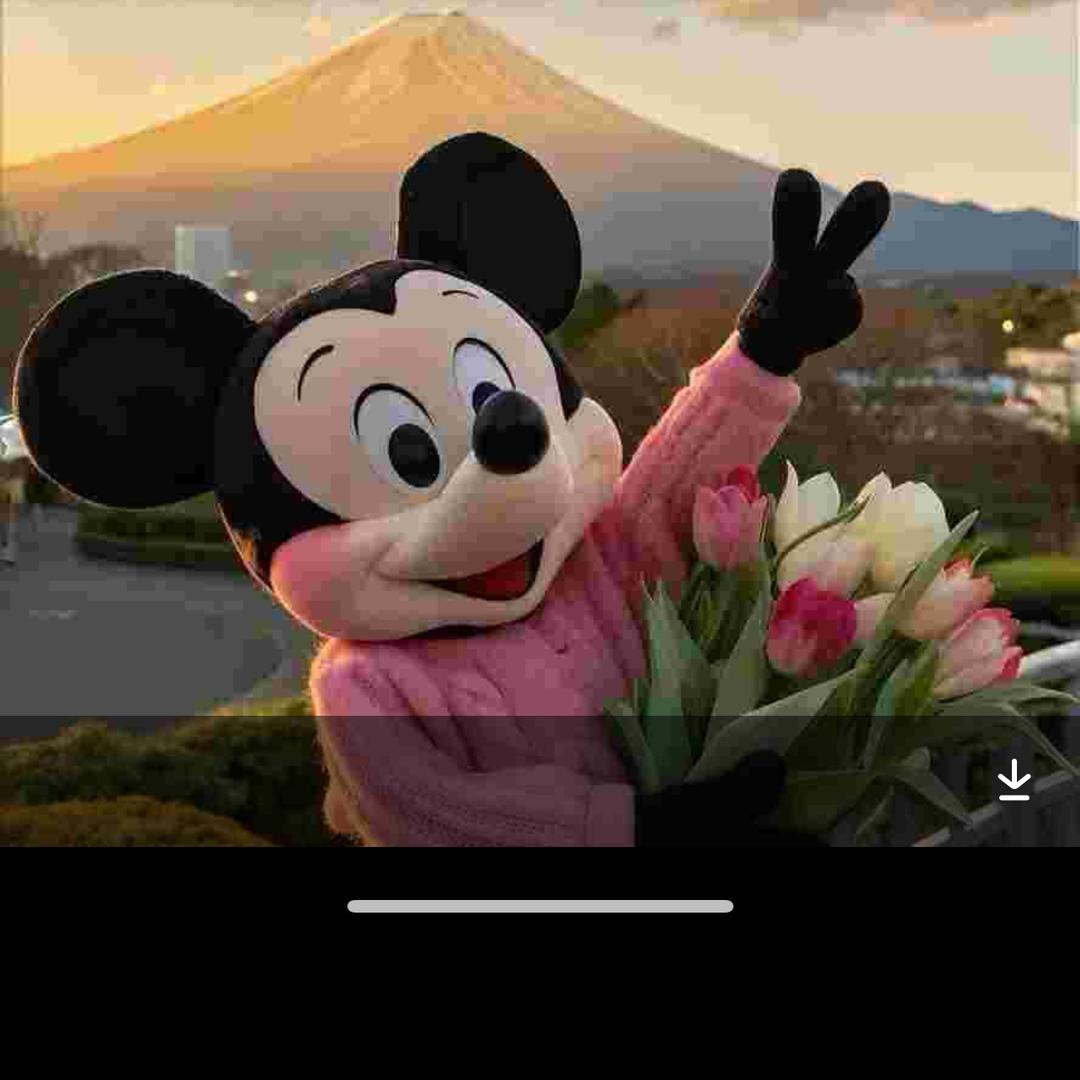 🍀泽宝